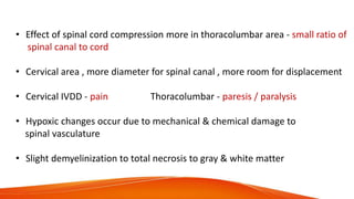 • Effect of spinal cord compression more in thoracolumbar area - small ratio of
spinal canal to cord
• Cervical area , more diameter for spinal canal , more room for displacement
• Cervical IVDD - pain Thoracolumbar - paresis / paralysis
• Hypoxic changes occur due to mechanical & chemical damage to
spinal vasculature
• Slight demyelinization to total necrosis to gray & white matter
 