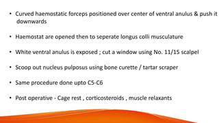 • Curved haemostatic forceps positioned over center of ventral anulus & push it
downwards
• Haemostat are opened then to seperate longus colli musculature
• White ventral anulus is exposed ; cut a window using No. 11/15 scalpel
• Scoop out nucleus pulposus using bone curette / tartar scraper
• Same procedure done upto C5-C6
• Post operative - Cage rest , corticosteroids , muscle relaxants
 