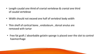 • Free fat graft / absorbable gelatin sponge is placed over the slot to control
haemorrhage
• Length caudal one third of cranial vertebrae & cranial one third
of caudal vertebrae
• Width should not exceed one half of vertebral body width
• Thin shelf of cortical bone , endosteum , dorsal anulus are
removed with tartar
 