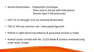 • Ventral fenestration - Prophylactic technique
Done only in animal with mild paresis
Hansen type II IVD protrusion
• IVD T11-12 through L3-4 are routinely fenestrated
• T10-11 IVD not common site ; intercapital ligament
• Patient in right lateral recumbency & paracostal incision is made
• Ventral anulus incised with No. 11/15 blade & nucleus removed using
small tartar scraper
 