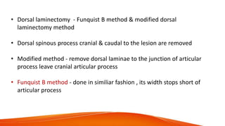 • Dorsal laminectomy - Funquist B method & modified dorsal
laminectomy method
• Dorsal spinous process cranial & caudal to the lesion are removed
• Modified method - remove dorsal laminae to the junction of articular
process leave cranial articular process
• Funquist B method - done in similiar fashion , its width stops short of
articular process
 