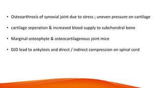 • Osteoarthrosis of synovial joint due to stress ; uneven pressure on cartilage
• cartilage seperation & increased blood supply to subchondral bone
• Marginal osteophyte & osteocartilagenous joint mice
• DJD lead to ankylosis and direct / indirect compression on spinal cord
 