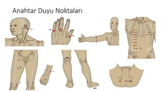 Anahtar Duyu Noktaları
 