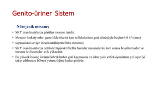 Genito-üriner Sistem
Nörojenik mesane;
• SKY olan hastalarda görülen mesane tipidir.
• Mesane fonksiyonları genellikle iskelet kası reflekslerinin geri dönüşüyle başlar(6-8 hf sonra)
• suprasakral seviye lezyonları(hiperrefleks mesane);
• SKY olan hastalarda detrüsör hiperaktiftir.Bu hastalar mesanelerini tam olarak boşaltamazlar ve
mesane içi basınçları çok yüksektir.
• Bu yüksek basınç idrarın böbreklerden geri kaçmasına ve idrar yolu enfeksiyonlarına yol açar.İyi
takip edilmezse böbrek yetmezliğine kadar götürür.
 