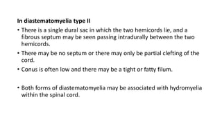 Spinal malformations | PPTX