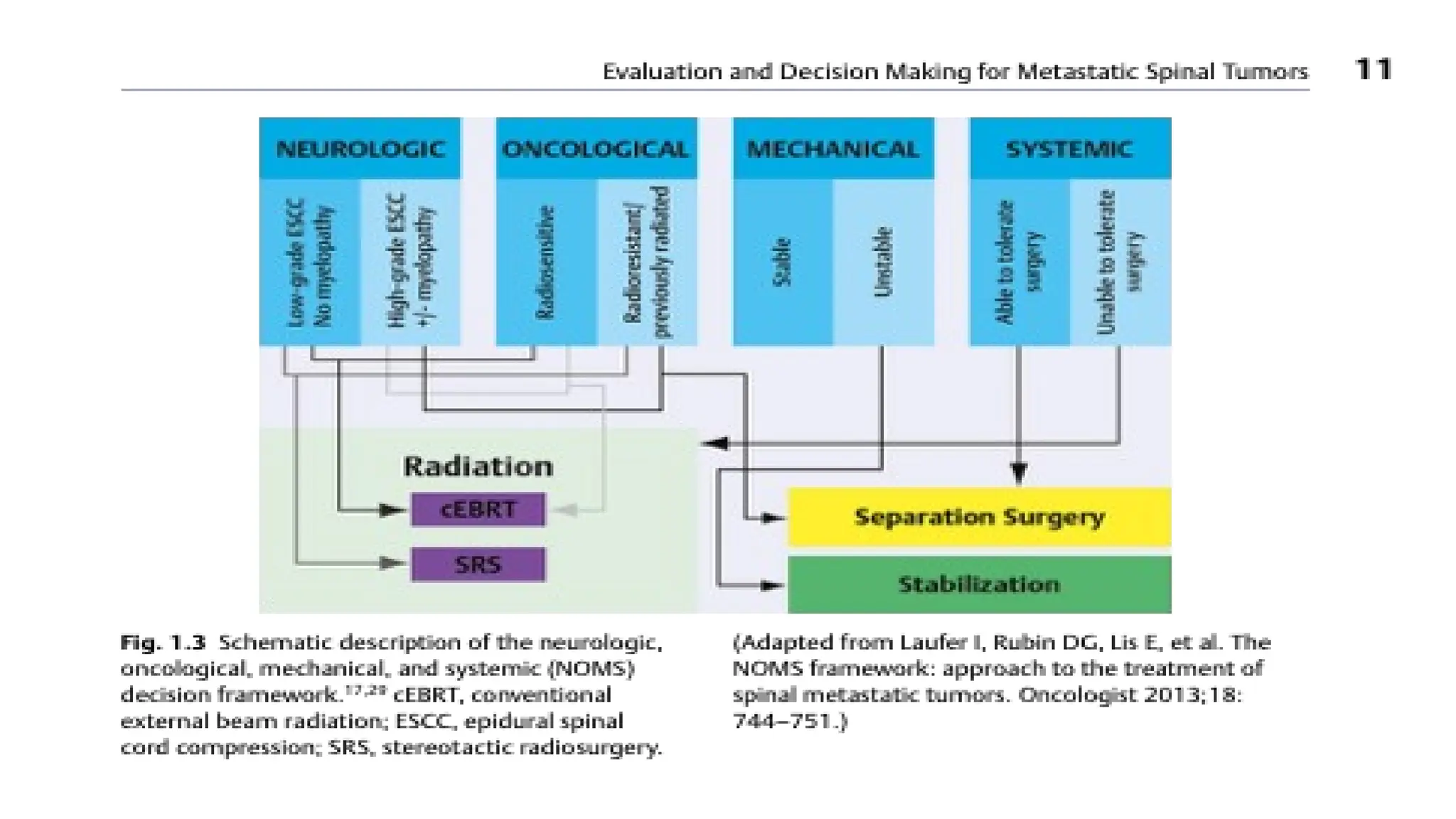 spinal metastasis.pptx spinal metastasis | PPTX