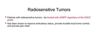 Radiosensitive Tumors
• Patients with radiosensitive tumors - be treated with cEBRT regardless of the ESCC
grade.
• Has been shown to improve ambulatory status, provide durable local tumor control,
and provide pain relief.
 