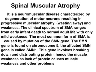 Spinal Muscular Atrophy  
It is a neuromuscular disease characterized by
degeneration of motor neurons resulting in
progressive muscular atrophy (wasting away) and
weakness. The clinical spectrum of SMA ranges
from early infant death to normal adult life with only
mild weakness. The most common form of SMA is
caused by mutation of the SMN gene. The SMN
gene is found on chromosome 5, the affected SMN
gene is called SMN1. This gene involves breaking
down and distributing protein, hence the muscle
weakness as lack of protein causes muscle
weakness and other problems
 