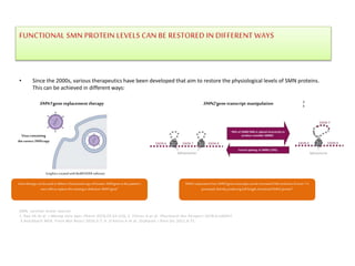 • Since the 2000s, various therapeutics have been developed that aim to restore the physiological levels of SMN proteins.
This can be achieved in different ways:
FUNCTIONAL SMN PROTEIN LEVELS CAN BE RESTORED IN DIFFERENT WAYS
SMN, survival motor neuron.
1. Rao VK et al. J Manag Care Spec Pharm 2018;24:S3–S16; 2. Poirier A et al. Pharmacol Res Perspect 2018;6:e00447.
3.Butchbach MER. Front Mol Biosci 2016;3:7; 4. D'Amico A et al. Orphanet J Rare Dis 2011;6:71.
Gene therapy can beused to delivera functionalcopy ofhuman SMNgene to the patient’s
own cellstoreplace the missingor defective SMN1gene1
SMN2 expression from SMN2gene transcriptscan be increasedif the inclusionofexon 7is
promoted, thereby producing full-length,functional SMN2 protein2
Graphics createdwithBioRENDERsoftware
Viruscontaining
thecorrectSMN copy
SMN1 gene replacement therapy SMN2 gene transcript manipulation 2-
4
 