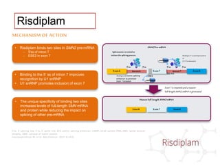 3’ss, 3’ splicing site; 5’ss, 5’ splice site; ESE, exonic splicing enhancer; snRNP, small nuclear RNA; SMA, spinal muscular
atrophy; SMN, survival of motor neuron.
Sivaramakrishnan M, et al. Nat Commun. 2017; 8:1476.
MECHANISM OF ACTION
• Risdiplam binds two sites in SMN2 pre-mRNA
– 5'ss of intron 7
– ESE2 in exon 7
• Binding to the 5’ ss of intron 7 improves
recognition by U1 snRNP
• U1 snRNP promotes inclusion of exon 7
• The unique specificity of binding two sites
increases levels of full-length SMN mRNA
and protein while reducing the impact on
splicing of other pre-mRNA
Maturefull-lengthSMN2mRNA
SMN2Pre-mRNA
Exon6 Exon8
Exon7
Intron6 Intron7
5’ss
ESE2
3’ss 5’ss 3’ss
Spliceosome recruitedto
initiatethesplicingprocess
ISS-N1
Exon6 Exon8
Exon7
Exon7is retainedandamature
full-lengthSMN2mRNAis generated
Bindingto 5’ssandimprovement
of
U1/5’ssinteraction
risdiplam
risdiplam
Bindingtothe exonic splicing
enhancer to promote
Exon 7 inclusion
Risdiplam
 