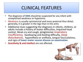 CLINICAL FEATURES
• The diagnosis of SMA should be suspected for any infant with
unexplained weakness or hypotonia.
• Weakness is usually symmetrical and more proximal than distal;
generally, it is greater in the legs than in the arms
• Additional clues suggesting the diagnosis in infants, children, or
adults include a history of motor difficulties, Impaired head
control, Weak cry and cough, progressive respiratory
insufficiency, Swallowing and feeding difficulty, sleep
disturbances, hyporeflexia or areflexia, tongue fasciculations,
and signs of lower motor neuron disease on examination.
• Sensitivity & and intellect are not affected.
 