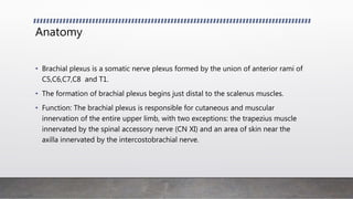 Anatomy
• Brachial plexus is a somatic nerve plexus formed by the union of anterior rami of
C5,C6,C7,C8 and T1.
• The formation of brachial plexus begins just distal to the scalenus muscles.
• Function: The brachial plexus is responsible for cutaneous and muscular
innervation of the entire upper limb, with two exceptions: the trapezius muscle
innervated by the spinal accessory nerve (CN XI) and an area of skin near the
axilla innervated by the intercostobrachial nerve.
 