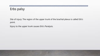 Erbs palsy
Site of injury: The region of the upper trunk of the brachial plexus is called Erb's
point.
Injury to the upper trunk causes Erb's Paralysis.
 