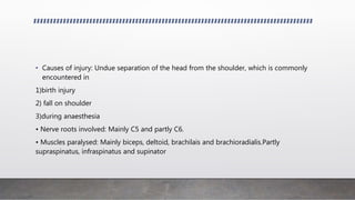 • Causes of injury: Undue separation of the head from the shoulder, which is commonly
encountered in
1)birth injury
2) fall on shoulder
3)during anaesthesia
• Nerve roots involved: Mainly C5 and partly C6.
• Muscles paralysed: Mainly biceps, deltoid, brachilais and brachioradialis.Partly
supraspinatus, infraspinatus and supinator
 