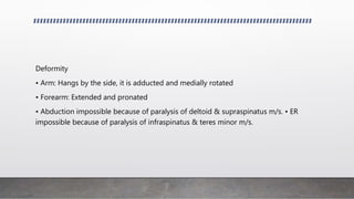 Deformity
• Arm: Hangs by the side, it is adducted and medially rotated
• Forearm: Extended and pronated
• Abduction impossible because of paralysis of deltoid & supraspinatus m/s. • ER
impossible because of paralysis of infraspinatus & teres minor m/s.
 