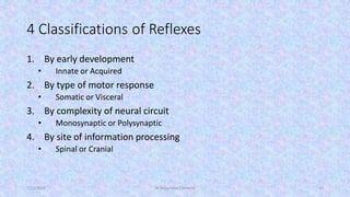 Gross anatomy and physiology Spinal nerve | PDF