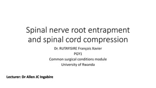 Spinal nerve root entrapment
and spinal cord compression
Dr. RUTAYISIRE François Xavier
PGY1
Common surgical conditions module
University of Rwanda
Lecturer: Dr Allen JC Ingabire
 