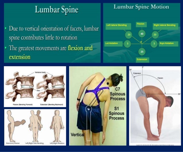 Spinal orthosis dr.aliaa