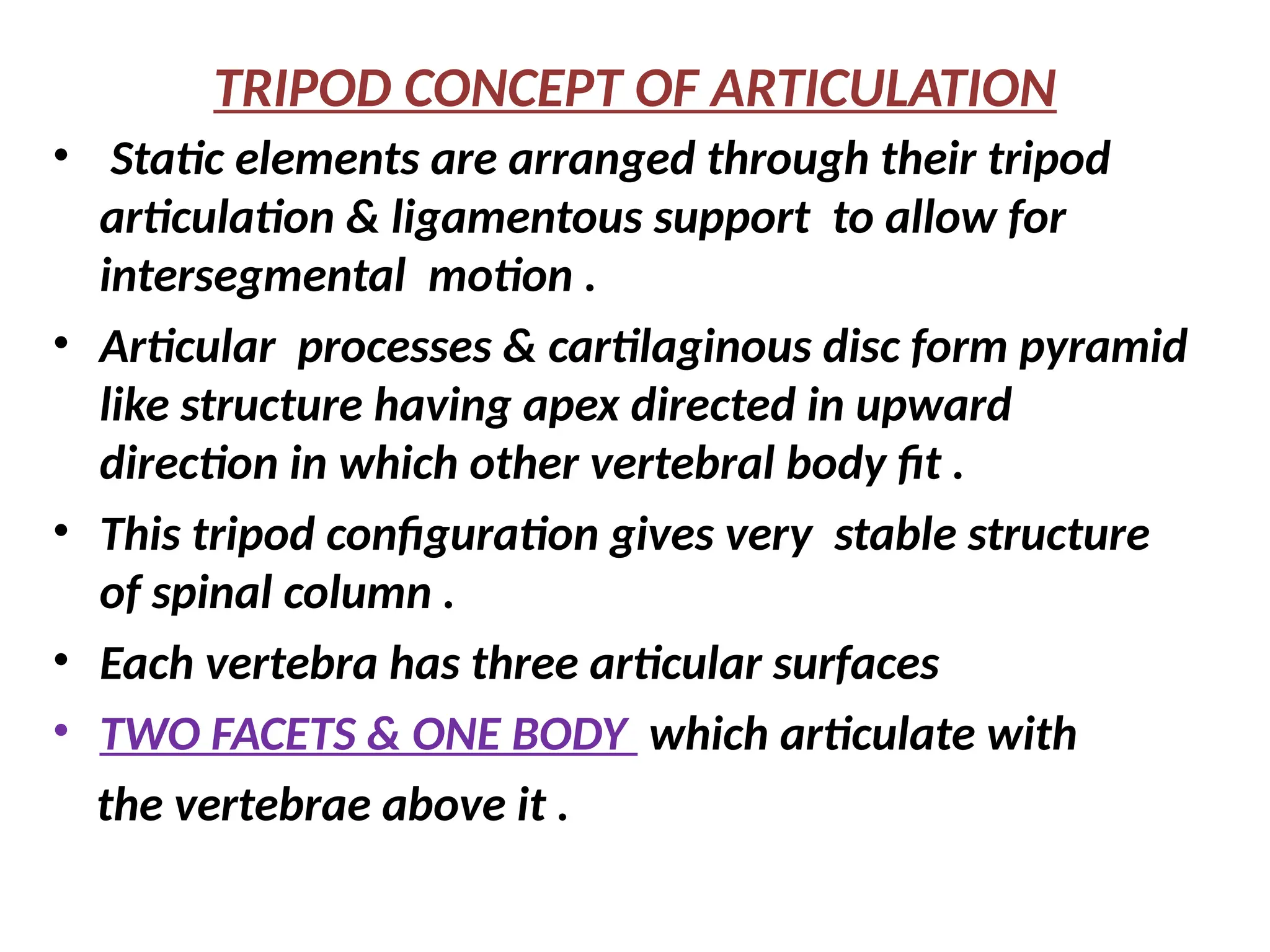 TRIPOD CONCEPT OF ARTICULATION
• Static elements are arranged through their tripod
articulation & ligamentous support to allow for
intersegmental motion .
• Articular processes & cartilaginous disc form pyramid
like structure having apex directed in upward
direction in which other vertebral body fit .
• This tripod configuration gives very stable structure
of spinal column .
• Each vertebra has three articular surfaces
• TWO FACETS & ONE BODY which articulate with
the vertebrae above it .
 