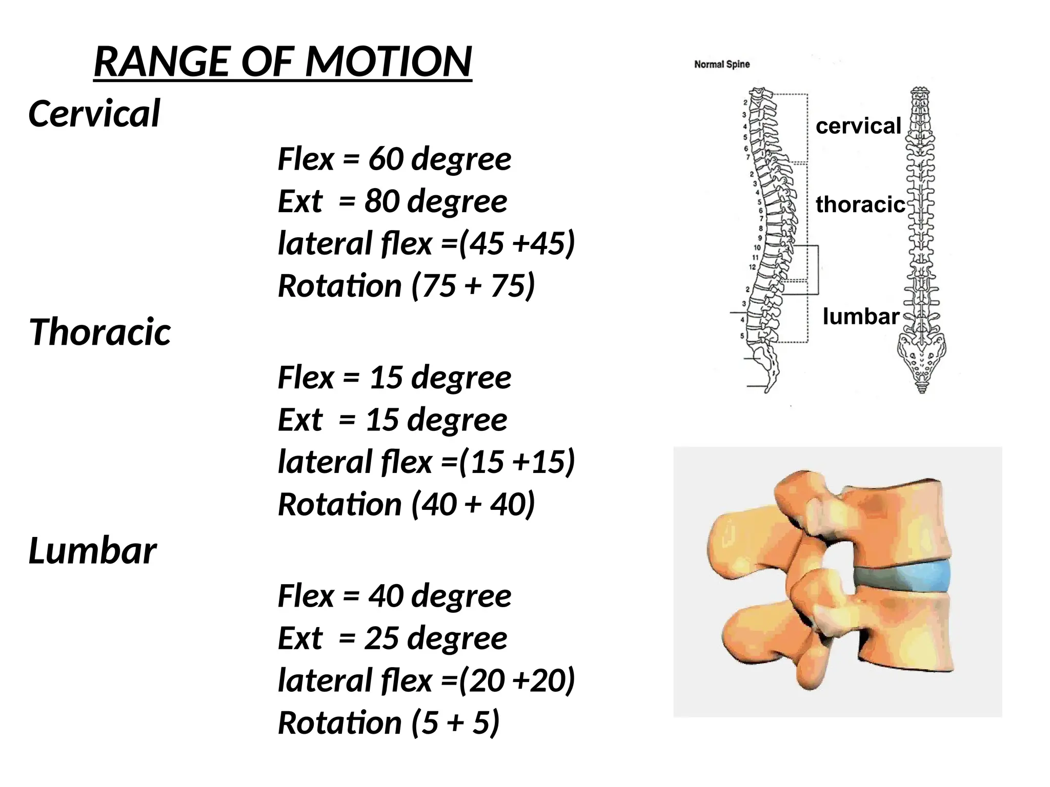 RANGE OF MOTION
Cervical
Flex = 60 degree
Ext = 80 degree
lateral flex =(45 +45)
Rotation (75 + 75)
Thoracic
Flex = 15 degree
Ext = 15 degree
lateral flex =(15 +15)
Rotation (40 + 40)
Lumbar
Flex = 40 degree
Ext = 25 degree
lateral flex =(20 +20)
Rotation (5 + 5)
cervical
thoracic
lumbar
 