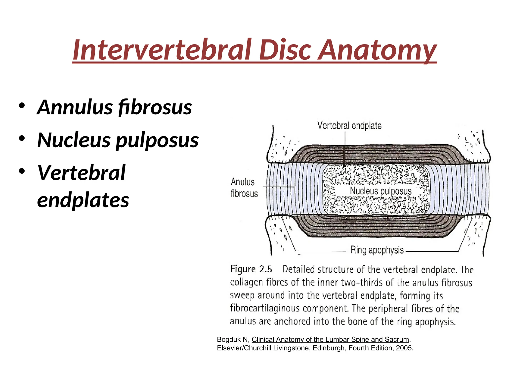 Intervertebral Disc Anatomy
• Annulus fibrosus
• Nucleus pulposus
• Vertebral
endplates
Bogduk N, Clinical Anatomy of the Lumbar Spine and Sacrum.
Elsevier/Churchill Livingstone, Edinburgh, Fourth Edition, 2005.
 