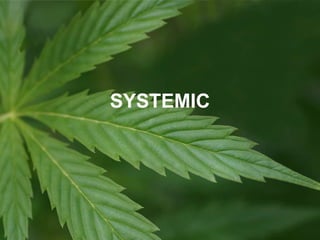 SYSTEMIC
 