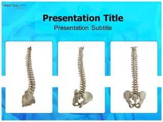 Spinal PowerPoint Template - medicalppttemplates.com