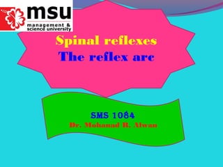 Spinal reflexes
The reflex arc
SMS 1084
Dr. Mohanad R. Alwan
 