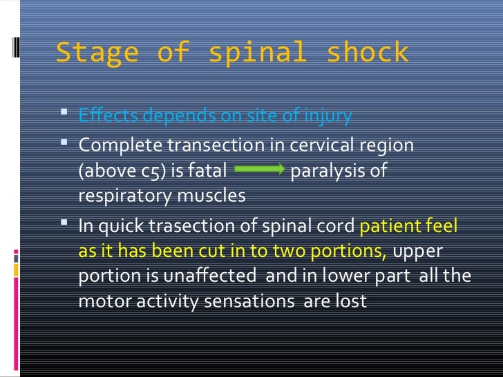 Spinal shock Physiology