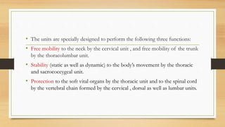• The units are specially designed to perform the following three functions:
• Free mobility to the neck by the cervical unit , and free mobility of the trunk
by the thoracolumbar unit.
• Stability (static as well as dynamic) to the body’s movement by the thoracic
and sacrococcygeal unit.
• Protection to the soft vital organs by the thoracic unit and to the spinal cord
by the vertebral chain formed by the cervical , dorsal as well as lumbar units.
 