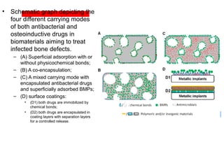 • Schematic graph depicting the
four different carrying modes
of both antibacterial and
osteoinductive drugs in
biomaterials aiming to treat
infected bone defects.
– (A) Superficial adsorption with or
without physicochemical bonds;
– (B) A co-encapsulation;
– (C) A mixed carrying mode with
encapsulated antibacterial drugs
and superficially adsorbed BMPs;
– (D) surface coatings:
• (D1) both drugs are immobilized by
chemical bonds;
• (D2) both drugs are encapsulated in
coating layers with separation layers
for a controlled release.
 