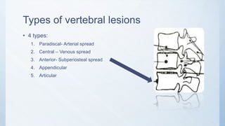 Types of vertebral lesions
• 4 types:
1. Paradiscal- Arterial spread
2. Central – Venous spread
3. Anterior- Subperiosteal spread
4. Appendicular
5. Articular
 