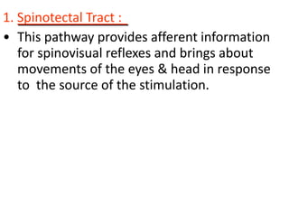 • The pyramidal tract controls rapid, skilled,
voluntary movements, especially distal ends
of limbs
• The pyramidal tract ...