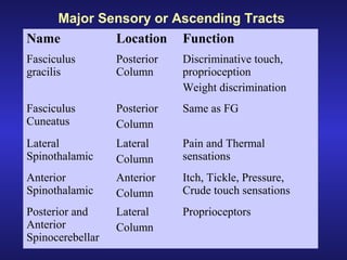 Major Sensory or Ascending Tracts
Name Location Function
Fasciculus
gracilis
Posterior
Column
Discriminative touch,
proprioception
Weight discrimination
Fasciculus
Cuneatus
Posterior
Column
Same as FG
Lateral
Spinothalamic
Lateral
Column
Pain and Thermal
sensations
Anterior
Spinothalamic
Anterior
Column
Itch, Tickle, Pressure,
Crude touch sensations
Posterior and
Anterior
Spinocerebellar
Lateral
Column
Proprioceptors
 