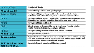 Location of Injury Possible Effects
At or above C5 Respiratory paralysis and quadriplegia
Between C5&C6 Paralysis of legs, wrists, and hands; weakened shoulder
abduction and elbow flexion; loss of brachioradialis reflex
C6-C7 Paralysis of legs, wrists, and hands, but shoulder movement and
elbow flexion usually possible; loss of biceps jerk reflex
C7-C8 Paralysis of legs and hands
C8-T1 With transverse lesions, Horner's syndrome (ptosis, miotic
pupils, facial anhidrosis), paralysis of legs
T1-T12 Paralysis of leg muscles above and below the knee
At T12 to L1 Paralysis below the knee
Cauda equina Hyporeflexic or areflexic paresis of the lower extremities, usually
pain and hyperesthesia in the distribution of the nerve roots, and
usually loss of bowel and bladder control
At S3 to S5 or conus
medullaris at L1
Complete loss of bowel and bladder control
 .
 