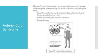 AnteriorCord
Syndrome
 Flexion Compression injuries to the cervical spine may damage
anterior spinal artery cutting off blood to anterior 2/3rd of spinal
cord.
 Loss of motor function and sensation of pain, light touch, and
temperature below injury site
 Retain positional, and vibration sensation
 Poor prognosis
 
