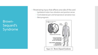 Brown-
Sequard’s
Syndrome
 Penetrating injury that affects one side of the cord
 Ipsilateral motor loss vibration and position sense.
 Contralateral pain and temperature sensation loss
 Best prognosis
 