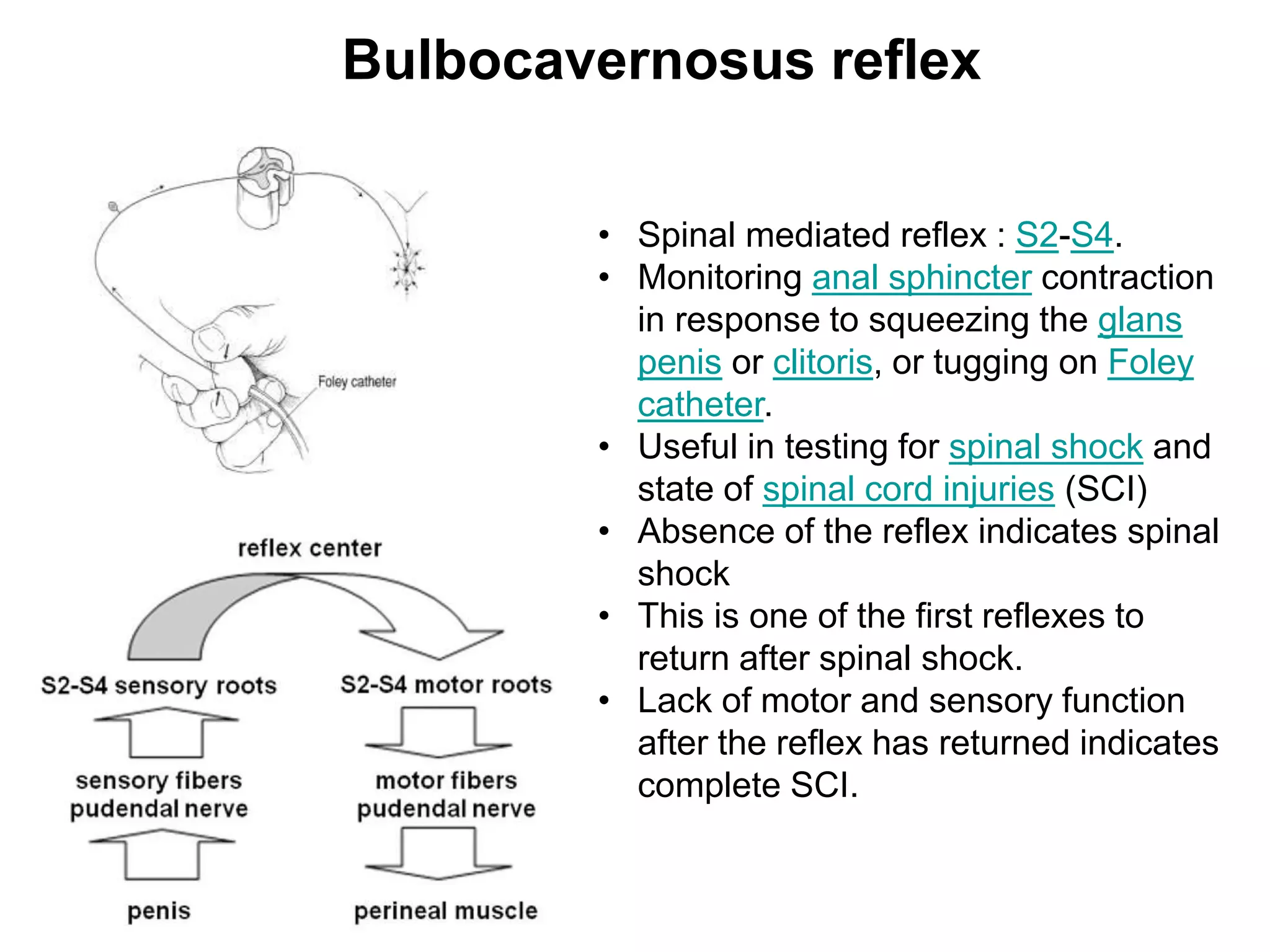 spinal Trauma.ppt