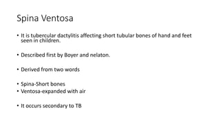 Spina Ventosa
• It is tubercular dactylitis affecting short tubular bones of hand and feet
seen in children.
• Described first by Boyer and nelaton.
• Derived from two words
• Spina-Short bones
• Ventosa-expanded with air
• It occurs secondary to TB
 