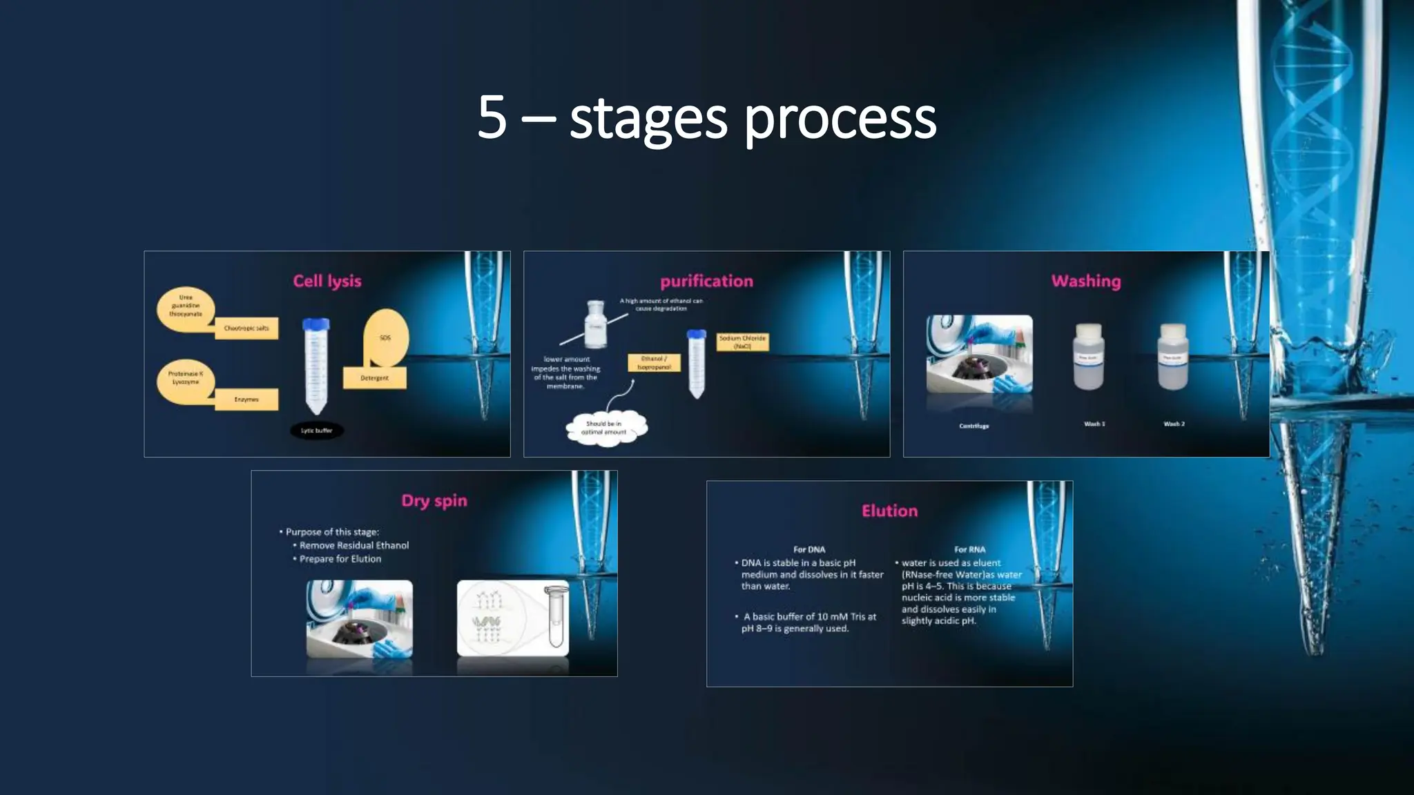 Spin column extraction method molecular biology course.pdf