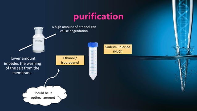 Spin column extraction method molecular biology course.pdf | Chemistry ...