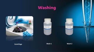 Washing
Centrifuge Wash 1 Wash 2
 