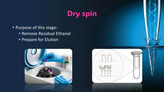 Spin column extraction method molecular biology course.pdf | Chemistry ...