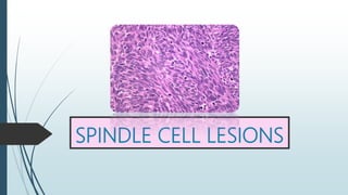 SPINDLE CELL LESIONS
 