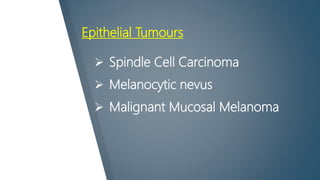 Epithelial Tumours
 Spindle Cell Carcinoma
 Melanocytic nevus
 Malignant Mucosal Melanoma
 