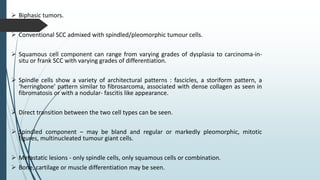  Sometimes present as extensively ulcerated masses with tumor cells widely
spaced apart in a loose, pale or myxoid backgr...
