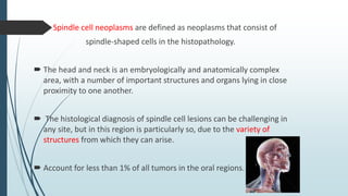 Spindle cell neoplasms are defined as neoplasms that consist of
spindle-shaped cells in the histopathology.
 The head and...