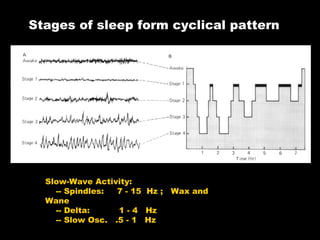 Spindles and transients - Sleep Phenomena, Mechanisms and Substrates | PPT