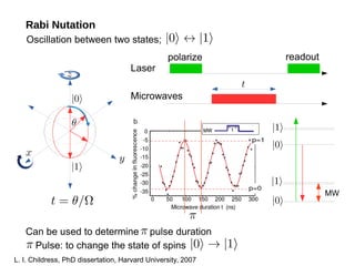 Spin dynamics in diamond NV center | PDF