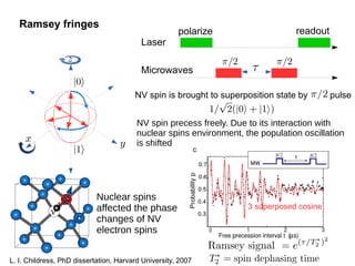 Spin dynamics in diamond NV center | PDF